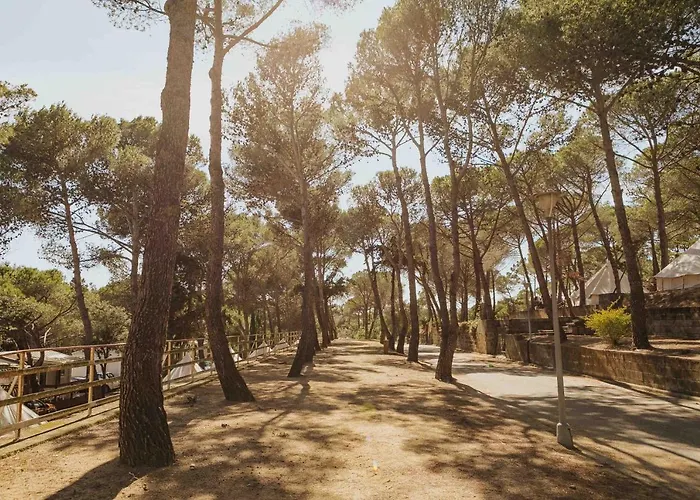 Nice Camps - Lloret De Mar Льорет-де-Мар