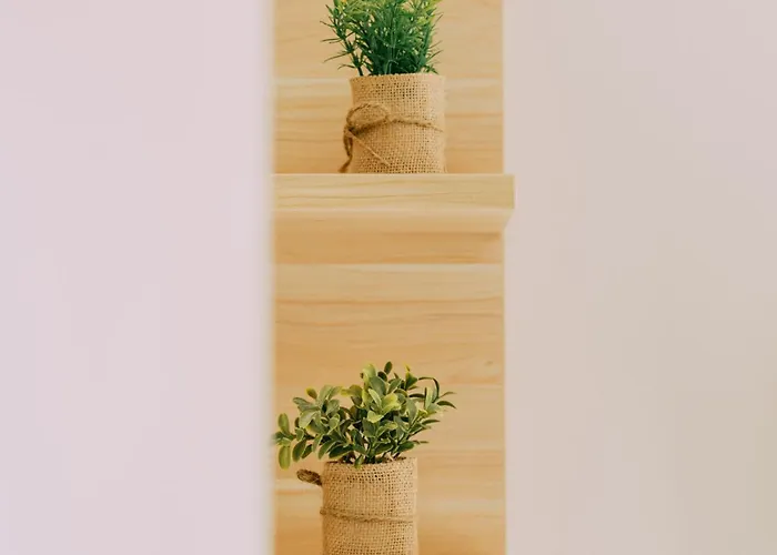 Santa Elena Kamp alanı Lloret de Mar