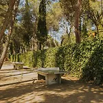 Kemping Camps - *