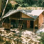 Camps -