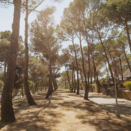 Campsite Santa Elena