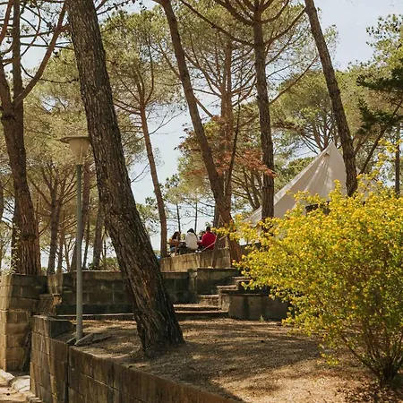 Kamp alanı Santa Elena