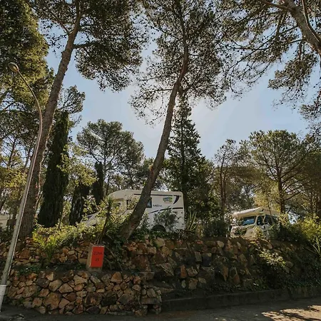 Kamp alanı Santa Elena