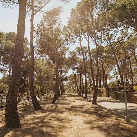 Santa Elena Lloret de Mar