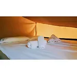 Camps - Camping