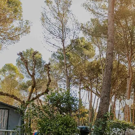 Santa Elena Кемпинг *